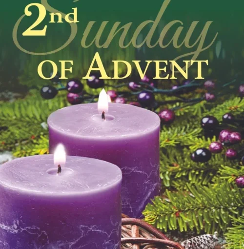 Latest News & Worship Information