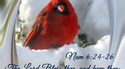 First Baptist Church